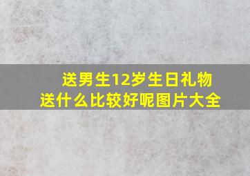 送男生12岁生日礼物送什么比较好呢图片大全