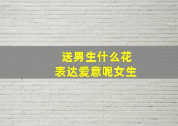 送男生什么花表达爱意呢女生