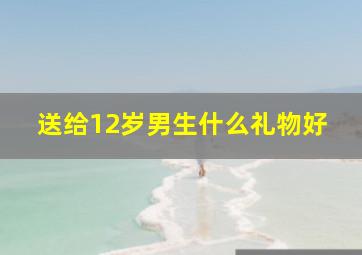 送给12岁男生什么礼物好