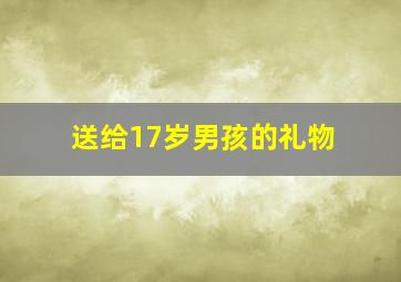 送给17岁男孩的礼物