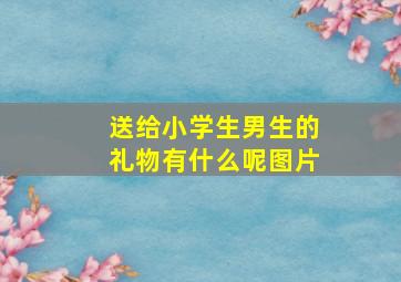 送给小学生男生的礼物有什么呢图片