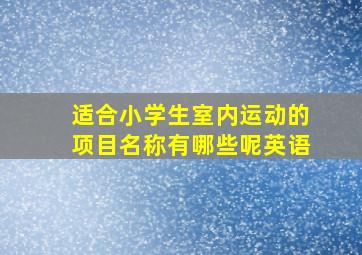 适合小学生室内运动的项目名称有哪些呢英语