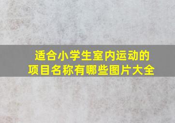 适合小学生室内运动的项目名称有哪些图片大全