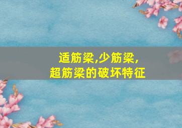 适筋梁,少筋梁,超筋梁的破坏特征