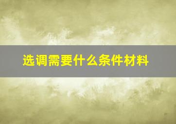 选调需要什么条件材料