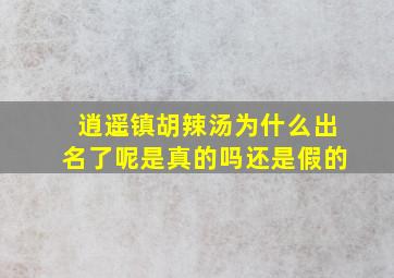 逍遥镇胡辣汤为什么出名了呢是真的吗还是假的