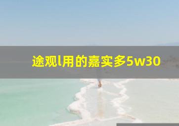 途观l用的嘉实多5w30