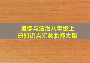 道德与法治八年级上册知识点汇总北师大版