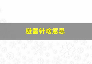 避雷针啥意思