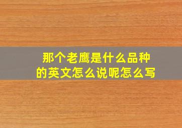 那个老鹰是什么品种的英文怎么说呢怎么写