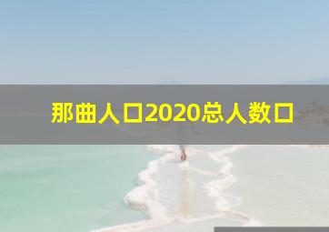 那曲人口2020总人数口