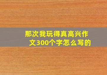 那次我玩得真高兴作文300个字怎么写的