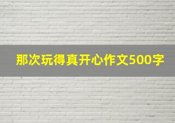 那次玩得真开心作文500字