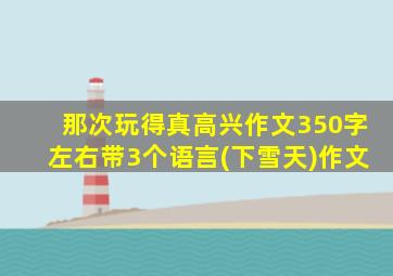 那次玩得真高兴作文350字左右带3个语言(下雪天)作文