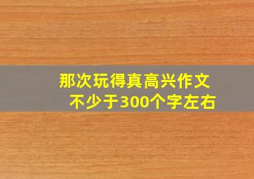 那次玩得真高兴作文不少于300个字左右