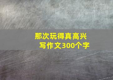 那次玩得真高兴写作文300个字