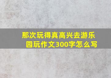 那次玩得真高兴去游乐园玩作文300字怎么写