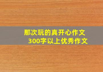 那次玩的真开心作文300字以上优秀作文