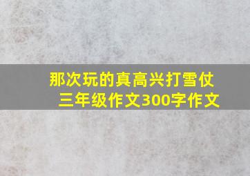 那次玩的真高兴打雪仗三年级作文300字作文