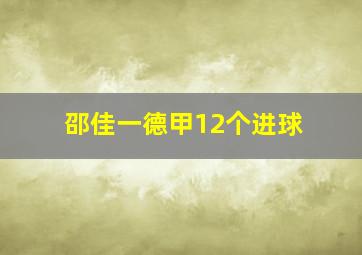 邵佳一德甲12个进球