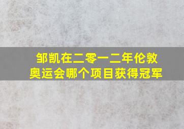 邹凯在二零一二年伦敦奥运会哪个项目获得冠军