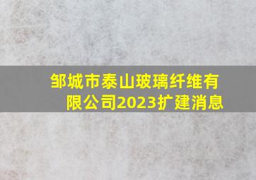 邹城市泰山玻璃纤维有限公司2023扩建消息