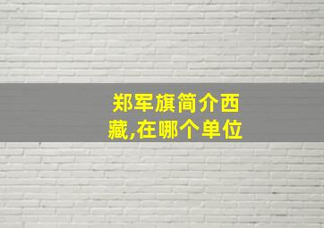 郑军旗简介西藏,在哪个单位