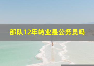 部队12年转业是公务员吗