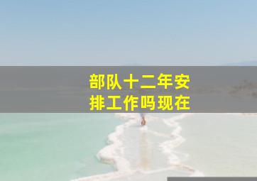 部队十二年安排工作吗现在