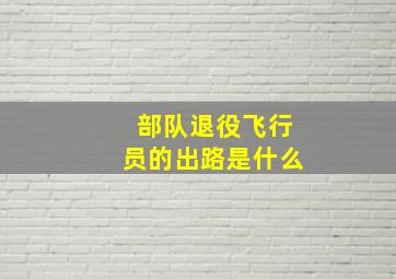 部队退役飞行员的出路是什么