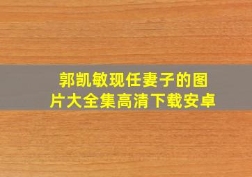 郭凯敏现任妻子的图片大全集高清下载安卓