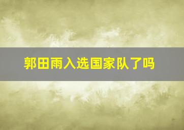 郭田雨入选国家队了吗