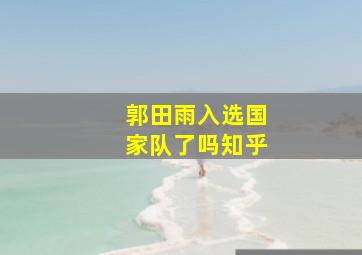 郭田雨入选国家队了吗知乎