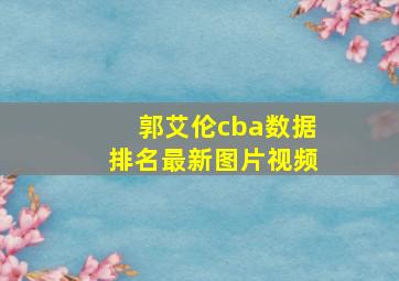 郭艾伦cba数据排名最新图片视频