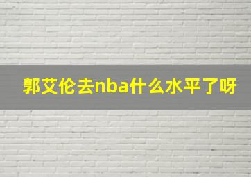 郭艾伦去nba什么水平了呀