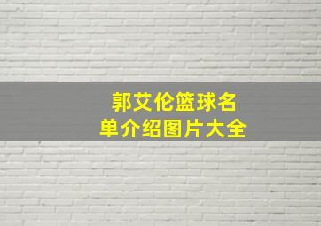 郭艾伦篮球名单介绍图片大全