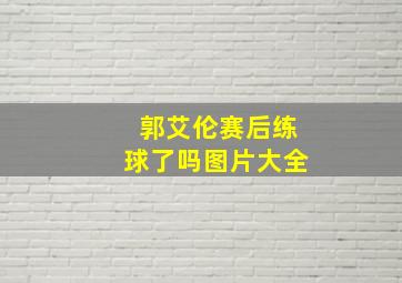 郭艾伦赛后练球了吗图片大全