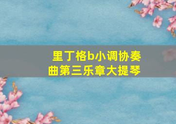 里丁格b小调协奏曲第三乐章大提琴