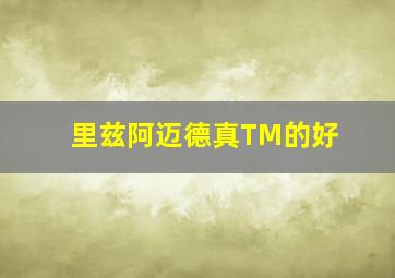 里兹阿迈德真TM的好