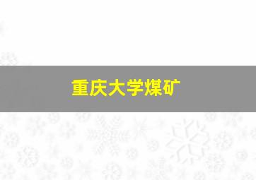 重庆大学煤矿