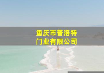 重庆市普洛特门业有限公司