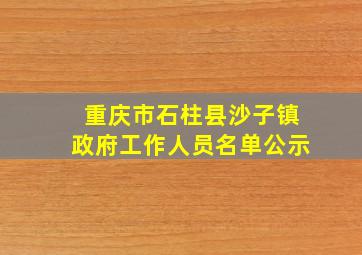 重庆市石柱县沙子镇政府工作人员名单公示