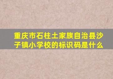 重庆市石柱土家族自治县沙子镇小学校的标识码是什么