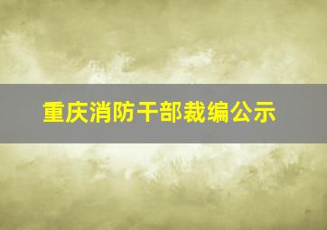 重庆消防干部裁编公示