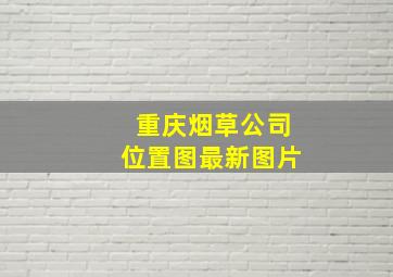 重庆烟草公司位置图最新图片