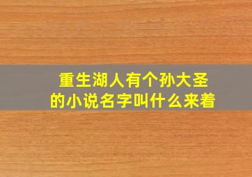 重生湖人有个孙大圣的小说名字叫什么来着