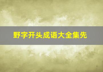 野字开头成语大全集先