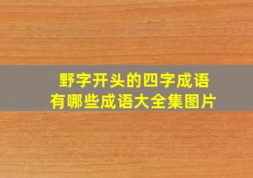 野字开头的四字成语有哪些成语大全集图片