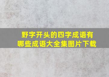 野字开头的四字成语有哪些成语大全集图片下载