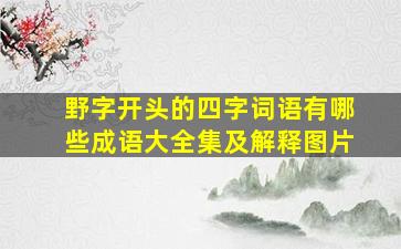 野字开头的四字词语有哪些成语大全集及解释图片